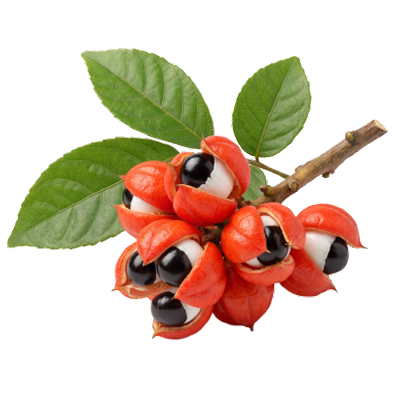 Guaraná
